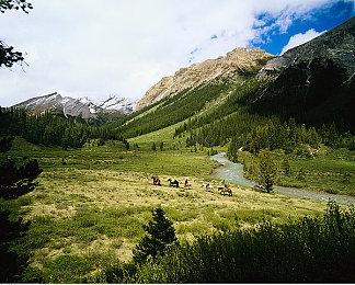 看见那座山了吗？外媒呼吁《上古卷轴6》加入真正的攀爬